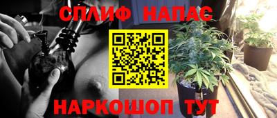 стафф Абинск
